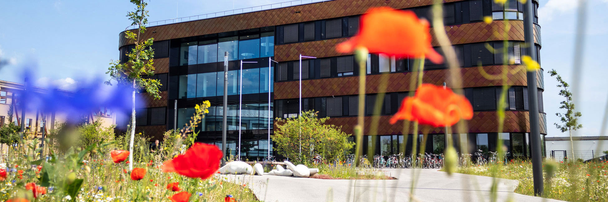 Science: To Be Determined